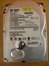 WESTERN_DIGITAL__527bb5447cf8a.jpg